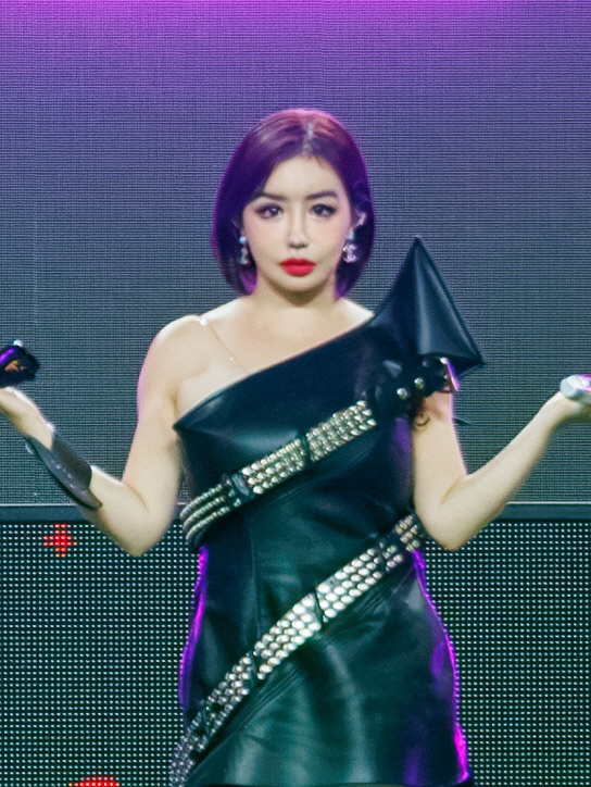 2NE1 Park Bom, eventually suspended due to health problems (Full Story)