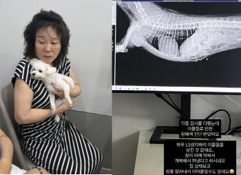 Mija to diagnose intestinal obstruction Swallows 1.5cm of foreign substances in dog laparotomy, make sure to save it
