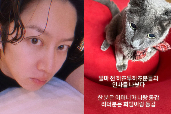Heechul Kim, Hatuha... 'Reality hit'...'Same age as your parents and pet cat'