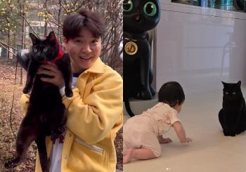 Park Soo-hong, my brother's complaint, Da Hong, the silver of life. Black Cat Day is my birthday, which is inevitable