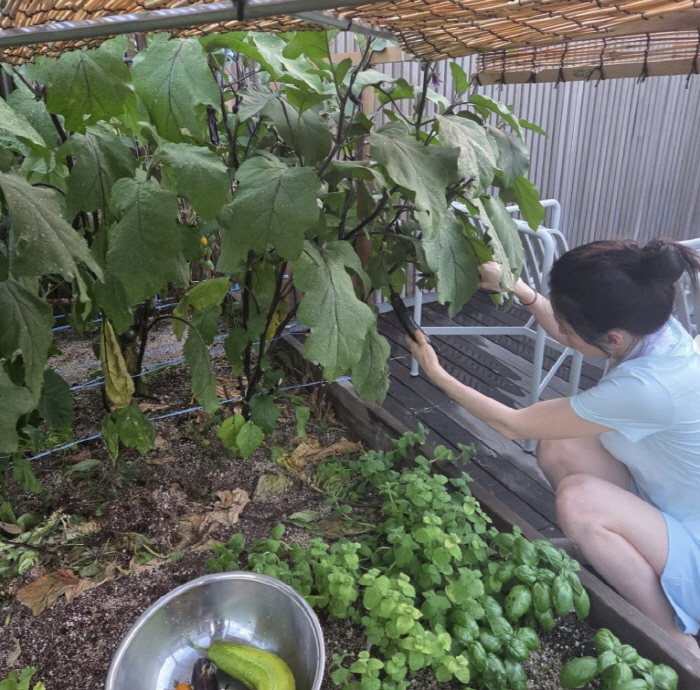 Lee Young-ae, organic life at Itaewon mansion...I'm showing off my garden