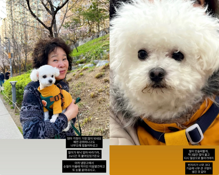Kim Tae-hyun ♥ Mija, wept at the funeral of her dog..Thank you for all your consolation on SNS until today