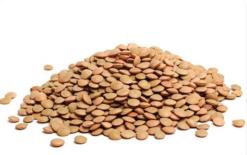 Lentil Beans Rich in Protein and Dietary Fiber, Why It's Especially Good for Women