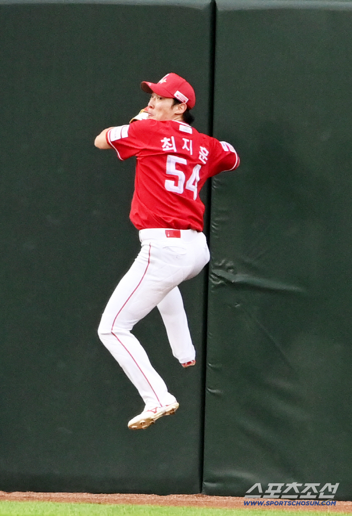  Jihoon Choi, animal defense.