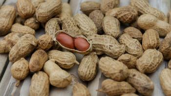 Eating a handful of peanuts every day helps prevent aging
