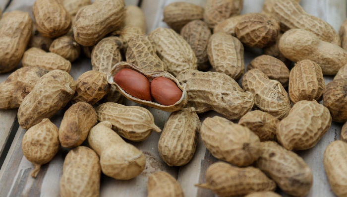 Eating a handful of peanuts every day helps prevent aging