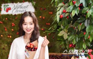 Son Yeon-jae, who was releasing 'new marriage and childcare', suddenly deleted the YouTube channel...'Community guide violation'. Why?