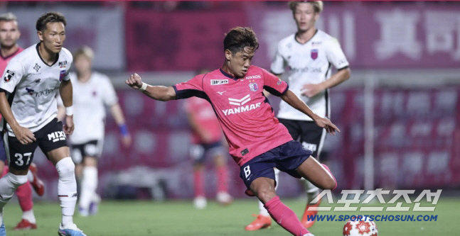 Park Ji-sung failed to replace him. Man U-seo's ruined superstar should have listened to Jung Dae-se Don't go to Manchester United