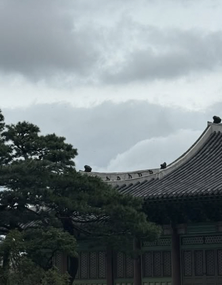 Kim Kardashian, you have a good tour of Korea..They even raised the national flag for the Liberation Day