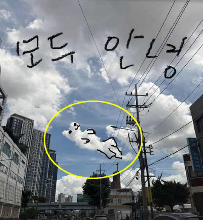 Seoksam, who became a cloud of Lee Hyo-ri, revealed...a late-stage cancer dog and a dour breakup