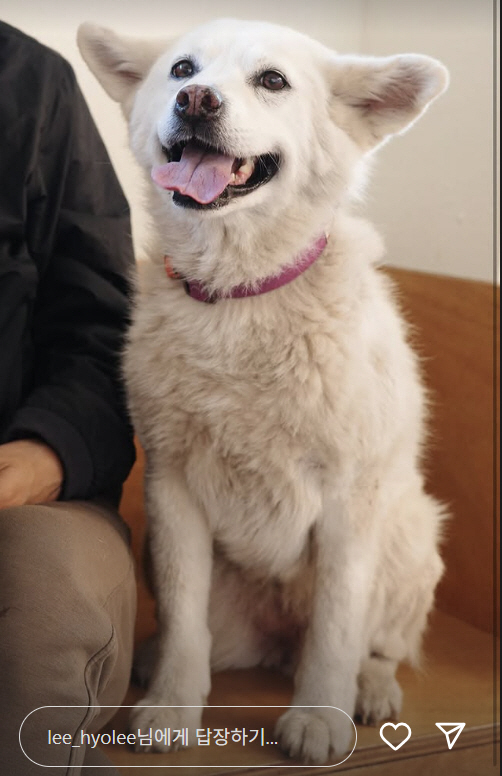 Seoksam, who became a cloud of Lee Hyo-ri, revealed...a late-stage cancer dog and a dour breakup