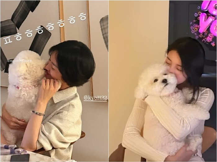 Another pretty girl next to a pretty girl...Song Hye-kyo and Su-ji met again→A separate dog shot together