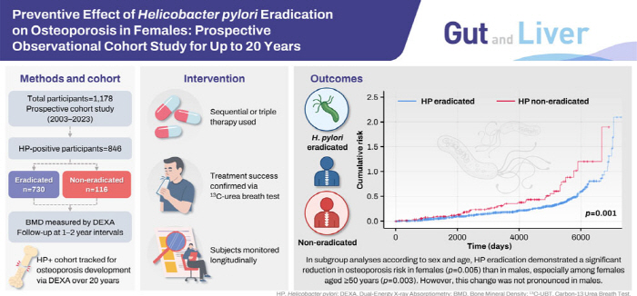Eradication treatment to eliminate Helicobacter bacteria that cause gastritis and gastric cancer reduces the prevalence of osteoporosis by 29%
