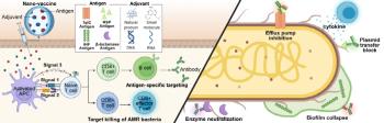 Inha University Suggests Next-Generation Vaccine Strategy...Introduction of nano vaccine technology to overcome antimicrobial resistance