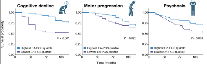 Multi-Gene Score Of Cognitive Preliminary Ability Affects On The Speed Of Parkinson's Disease Progress