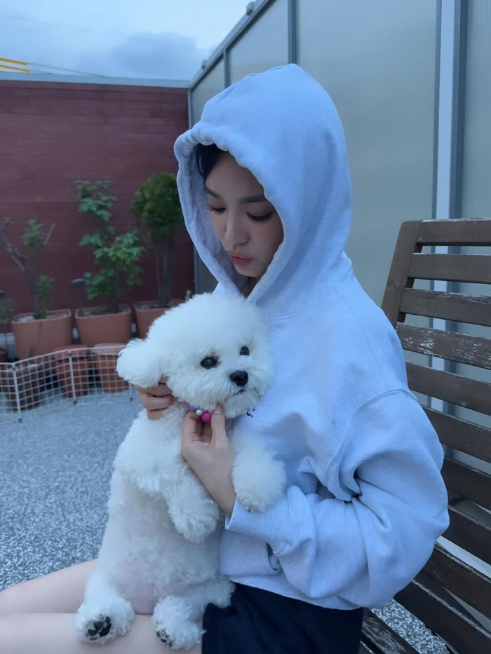 Song Hye-kyo looks attractive even if she has her bare face with a face pack and tweezers