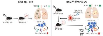 Development of a new tuberculosis vaccine and treatment platform...More than 90% inhibition of tubercle bacillus growth