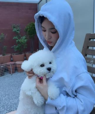  'There's no doll.' Song Hye-kyo is beautiful even with a hoodie on
