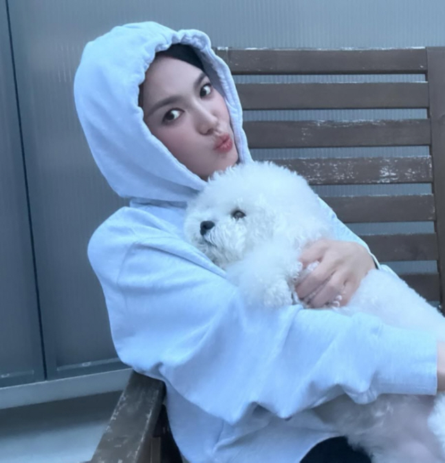  'There's no doll.' Song Hye-kyo is beautiful even with a hoodie on