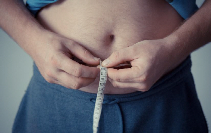Will my child get fat?Development of a tool for predicting obesity in adults before the age of 5