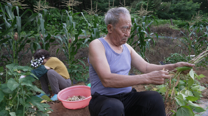 The 'Seller' Old Couple and the 'Buyer' Newlywed Couple, Special Living Together for Two Months