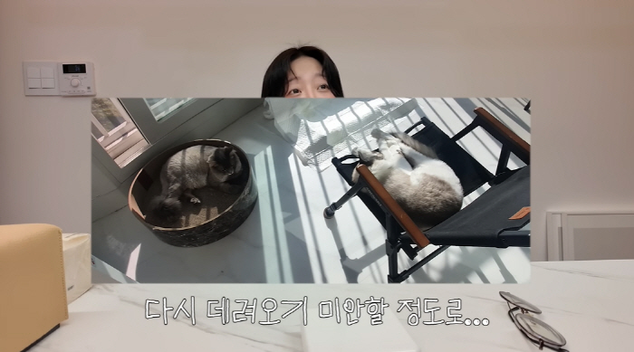 Tzuyang, sorry to bring back the explanation of the alleged abandonment of her pet cat..a plan to live together after moving
