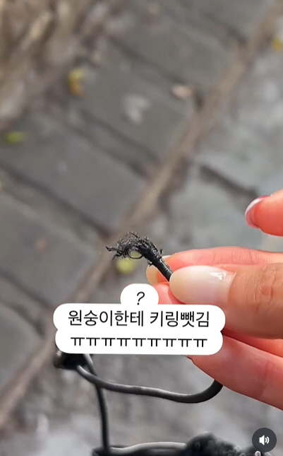 Yoo Sang-moo ♥ Kim Yeon-ji avoided theft during her trip to Bali..The culprit is a monkey. 'I'm getting killed'
