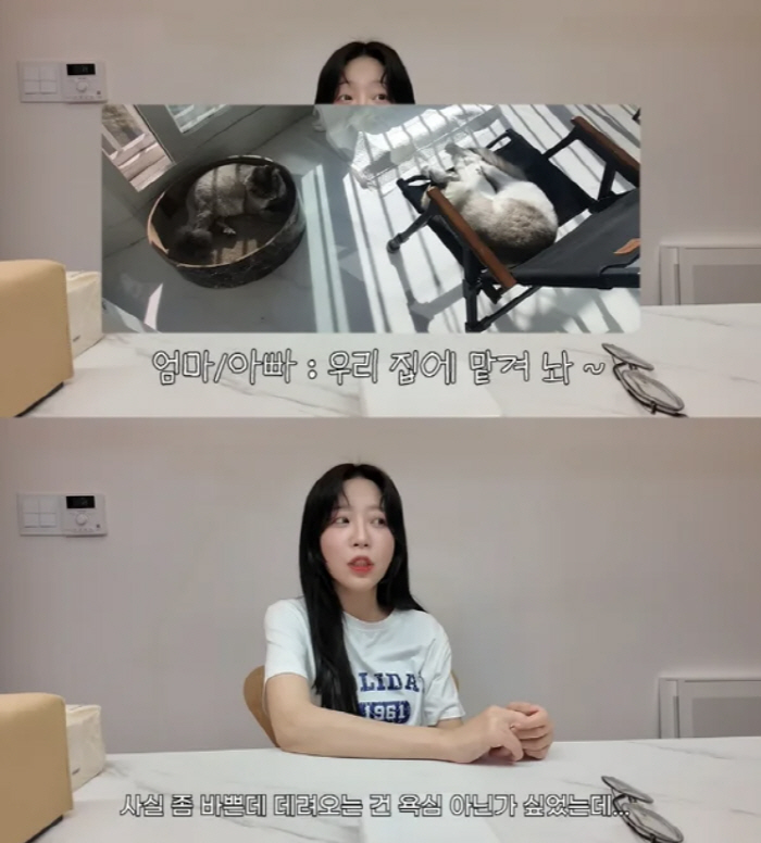 Did you raise a dog and throw away a cat…Tzuyang's entry into the controversy over the abandonment of her pet cat is sorry for not getting sunlight 