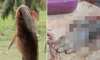 Surprised at what came out of the fish's belly...Human hand? Monkey hand?