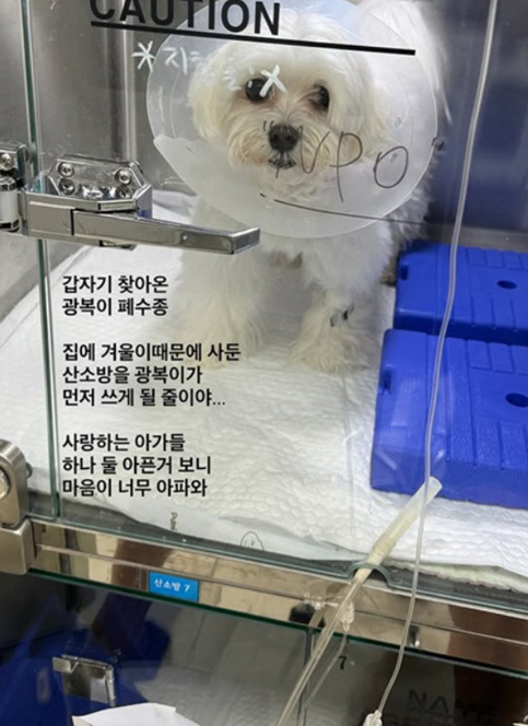 Cancer-fighting Lee Sol, another sad news, suddenly caught wastewateroma. It's heartbreaking