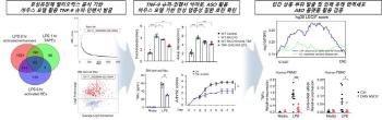 Chronic inflammation such as rheumatoid and psoriasis and suppresses by controlling gene switches