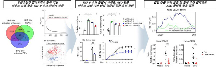 Chronic inflammation such as rheumatoid and psoriasis and suppresses by controlling gene switches