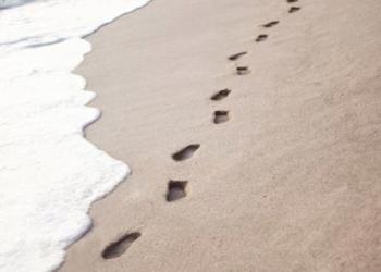 A child who stepped on a dead fish on the beach almost lost his life...Why?