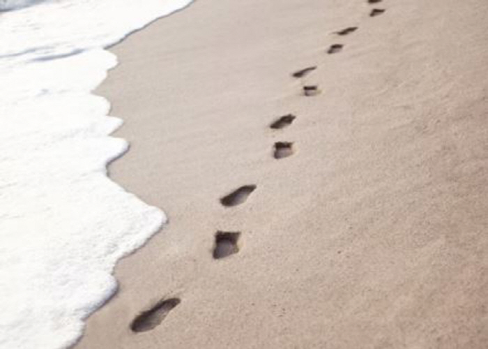A child who stepped on a dead fish on the beach almost lost his life...Why?