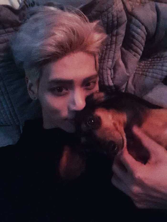 SHINee Fandom Grieves the Loss of Jonghyun’s Cherished Dog