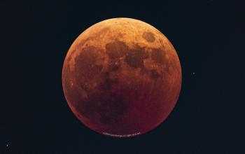 The moon disappears in the sky early in the morning on the 8th 15 astronomical and space science museums, including Daejeon Citizen Astronomical Observatory, and total lunar eclipse observation meeting…The expert commentary also shows live online