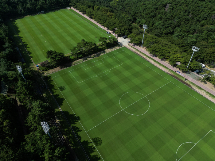 Revolution of the ground Ulsan introduced Korea's first orchid-type grass → Best condition for heat waves and heavy rain...Successful Sticking, Presenting a New Model