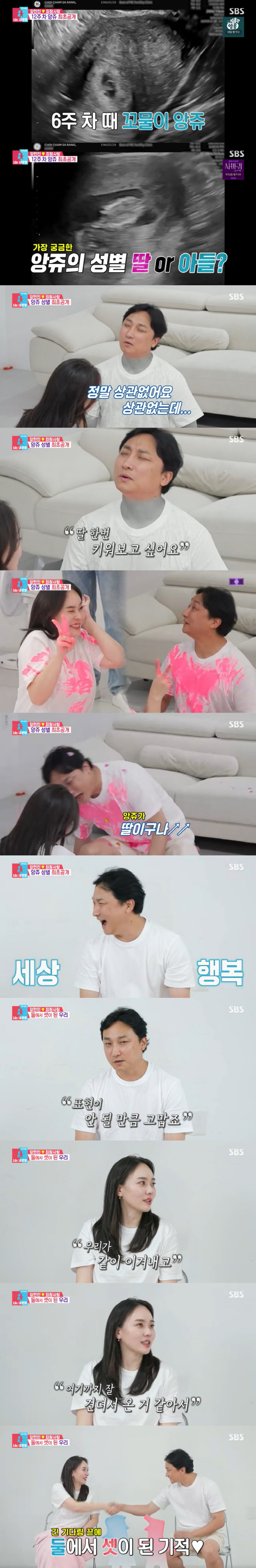 Yang Hyun-min ♥ Choi Cham-love, failed 8 pregnancies after 9 test tubes, blame ourselves if we're not good enough (Dongsang Imong 2) 