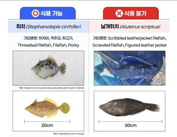 Puffer fish is a must for professional cooking...20 times more toxic than pufferfish, you have to refrain from contacting the wing mouse