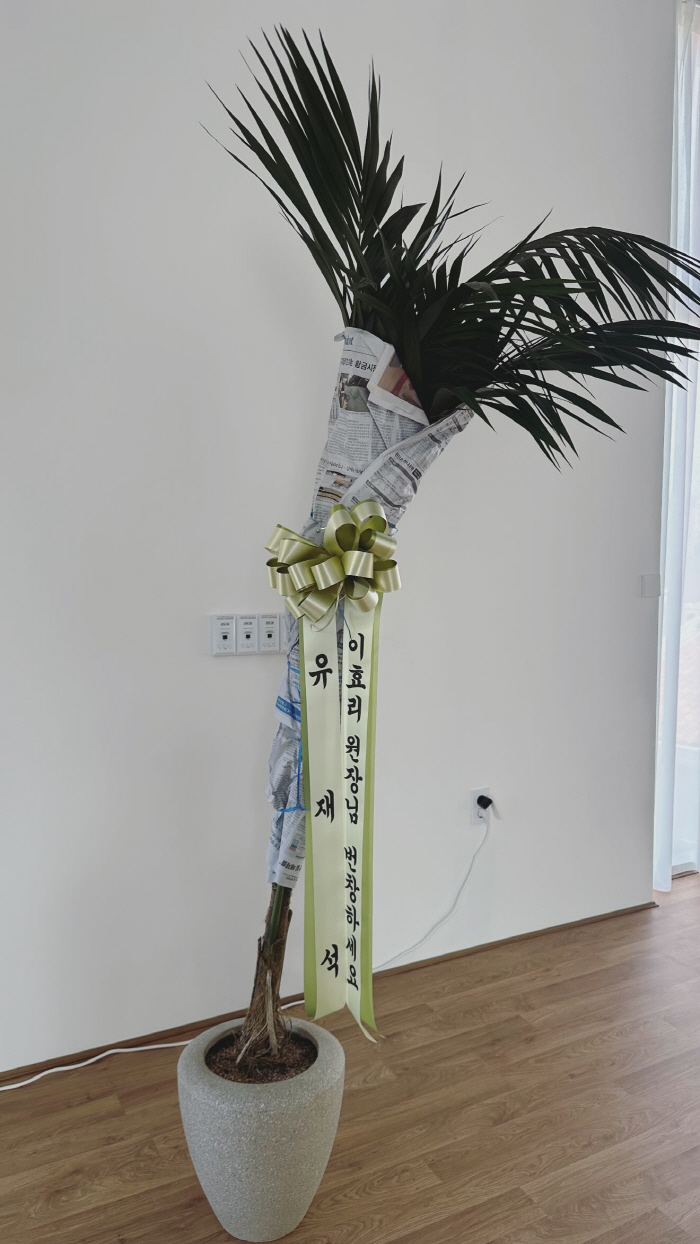 Yoo Jae-seok Sends Green Congrats as Lee Hyori Opens Yoga Center