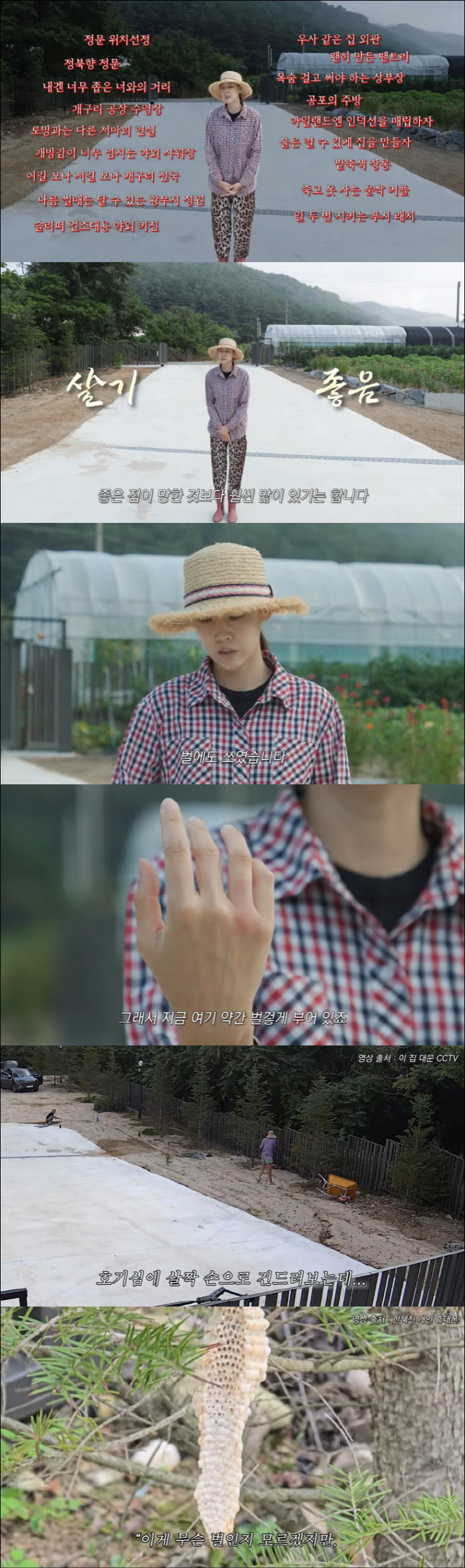 Han Hye-jin was stung by a bee at the 500 pyeong annex Touch the honeycomb. It's a mess