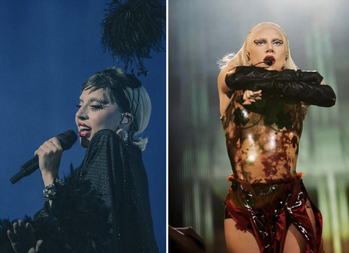 Lady Gaga, why she canceled it just before the show...If the fans are worried