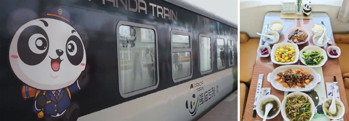 What's a panda? A theme train trip for 200 million won...I'm glad I didn't get sick