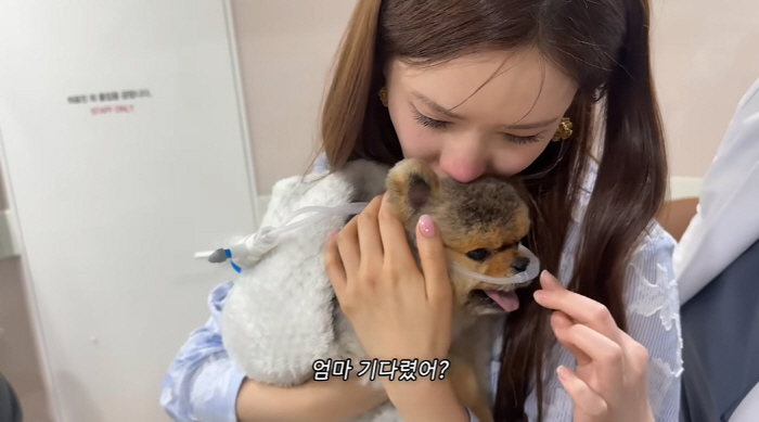 Seven ♥ Lee Da-hae suddenly lets her dog go and the sobbing stance procedure goes wrong