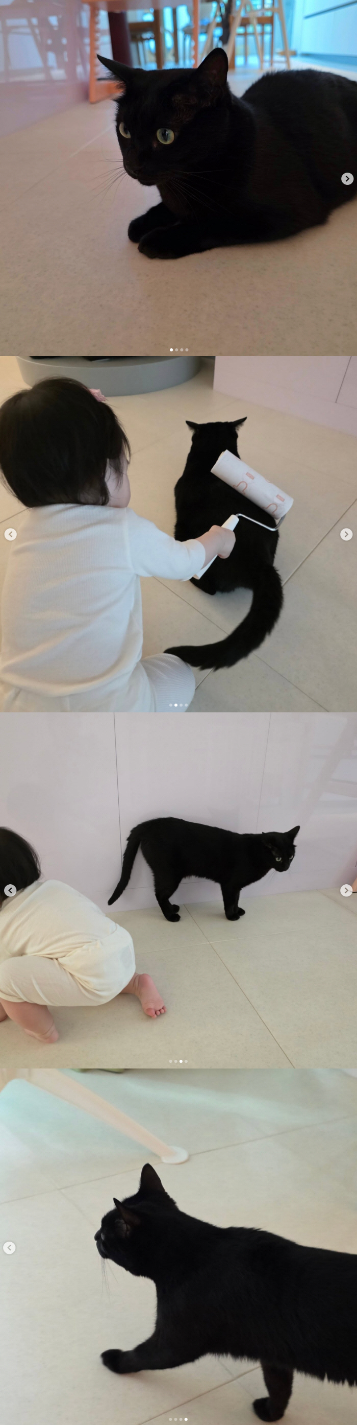 Park Soo Hong cat, there's no windy day..My 1-year-old daughter is trying to distance herself from grooming