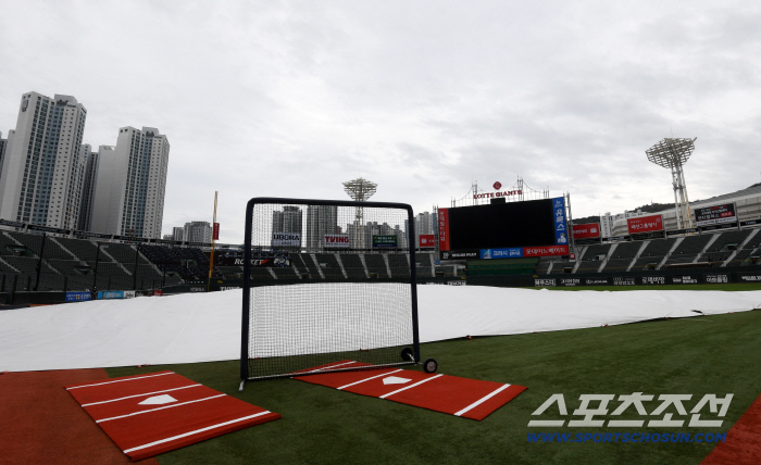 Go over the wall of Hanwha Weiss, the hope of autumn baseball on the shoulders of Park Se-woong, the ace of glasses, Lotte 