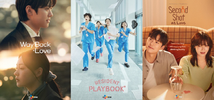 CJ ENM's K-drama box office hit in the global OTT market 