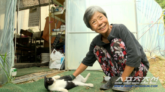 The flower garden of Teresa..After losing his 26-year-old son, he is separated from his 80th mother (Human Theater)