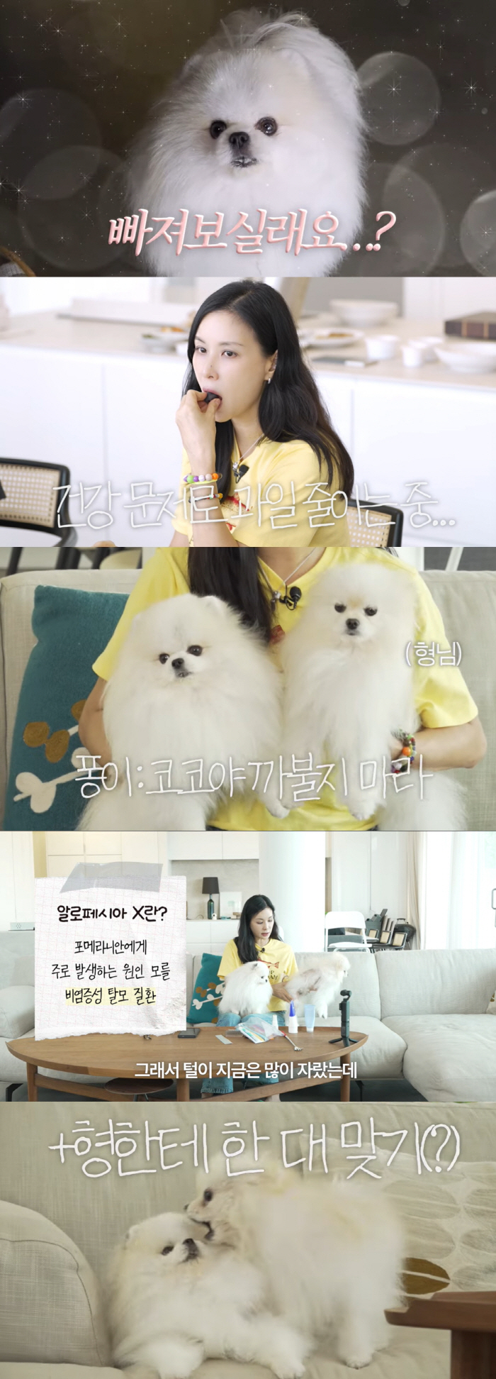Jang Dong-gun ♥ Ko So-young made a big decision to adoptMy son and daughter wanted it first, but I rattled it