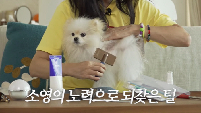 Ko So-young confesses to the condition of her 5-year-old dog that she gave up, and hair loss is more than 90% for 4 years (the very same Ko So-young)